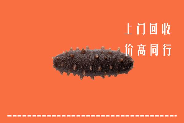 汶上县回收海参