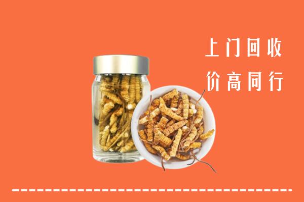 汶上县回收冬虫夏草